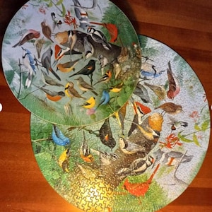 Springbok Round Bird Puzzle Dilger Familiar Birds 1970 Complete Vintage Clean