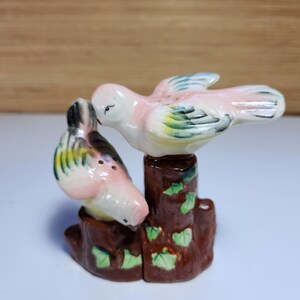 Pode incluir: Um conjunto de saleiro e pimenteiro de cerâmica vintage com dois pássaros empoleirados em um tronco de árvore marrom. Os pássaros têm cores rosa, branco, amarelo e azul. O tronco da árvore tem detalhes de folhas verdes.