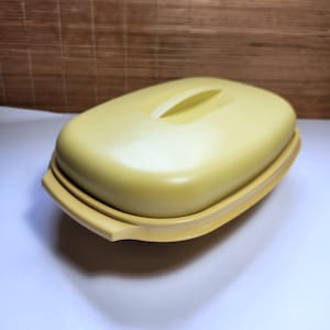 Op de afbeelding: Een lichtgele ovale botervloot met bijpassend deksel. Het deksel is voorzien van een centraal verhoogd handvat voor een goede grip, terwijl de basis geïntegreerde handgrepen aan de zijkanten heeft. Het object heeft een gladde, matte afwerking.