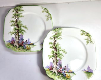 Royal Albert Greenwood Tree Plates: Vintage Dessert Plates, Set of 2