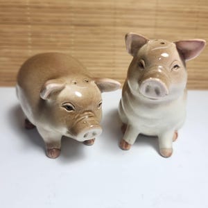 Vintage Schwein Salz und Pfefferstreuer Made in Japan 1982 Bauernhaus Küche