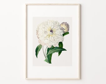 Vintage Flower Art Print | White Peony Botanical Wall Art | PRINTABLE Floral Digital Download 22