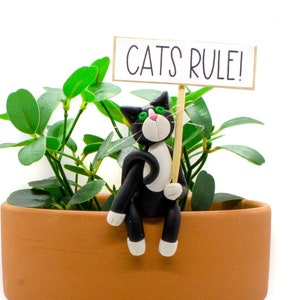 Cat Pot Sitter / Tuxedo Cat / Flower Pot Sitter / Cat Pot Hugger / Cat Lover Gift / Cat Pot Hanger / Plant Lover Gift  / Flower Pot Pal Cat