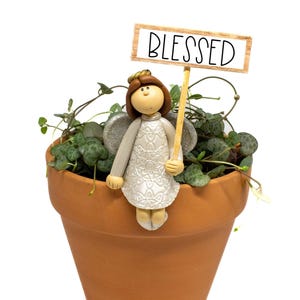 May include: A small, white angel figurine with a gold halo sits on the edge of a terracotta pot filled with green plants. The angel is holding a wooden sign that reads "BLESSED".
