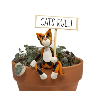 May include: A calico cat figurine holding a sign that says "Cats Rule!" The cat is sitting in a terracotta pot filled with a green succulent plant.