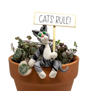 May include: A gray and white cat figurine holding a sign that says "CATS RULE!" The cat is sitting in a terracotta pot with green leafy plants.