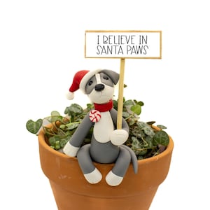 May include: A gray and white dog figurine wearing a Santa hat and red scarf, holding a sign that reads "I Believe in Santa Paws." The figurine is sitting in a terracotta pot filled with greenery.