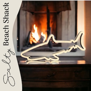 Clear View Original Shark Shadow Box for shark teeth, small shells, fossils, agates, crystals, beach glass. Shark tooth display.
