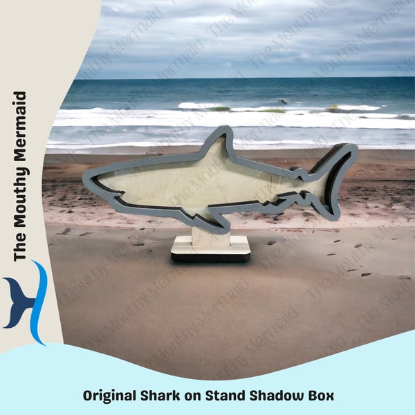 Original Shark Teeth Shadow Box (ON STAND) for shark teeth, small shells, fossils, agates, crystals, beach glass. Shark tooth display.