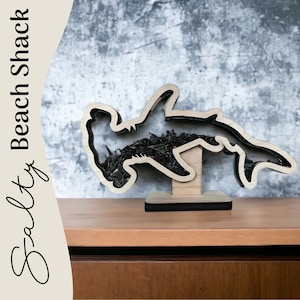 Clear View Hammerhead Shark Teeth Shadow Box for shark teeth, small shells, fossils, agates, beach glass. Shark tooth display. *Original