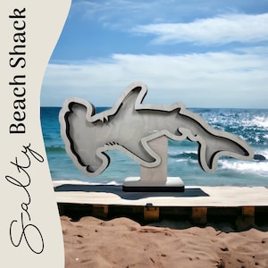 Hammerhead Shark Teeth Shadow Box for shark teeth, small shells, fossils, agates, beach glass. Shark tooth display. *Original Design