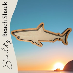 Original Shark Teeth Shadow Box for shark teeth, small shells, fossils, agates, crystals, beach glass. Shark tooth display.