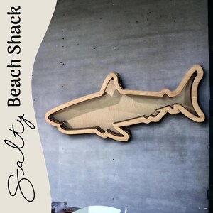 Shark Teeth (Wall Hanging) EXTRA LARGE Shadow Box for shark teeth, small shells, fossils, agates, crystals, beach glass. Shark tooth display