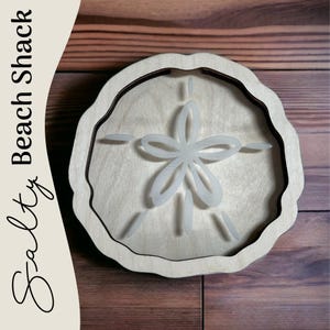Sand dollar WALL HANGING Shadow Box for shark teeth, small seashells, fossils, beach glass. Shark tooth display, seashell display.