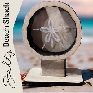MINI Sand Dollar shadow box for shark teeth, small shells, fossils, agate chips, crystals, beach glass. Shark tooth display.
