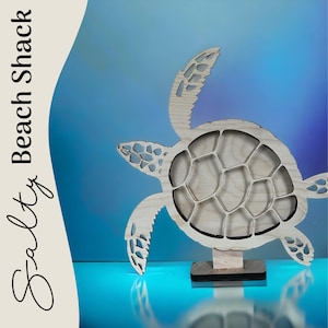Sea Turtle Shadow Box for shark teeth, small shells, fossils, agates, beach glass. Seashell display, beach glass.