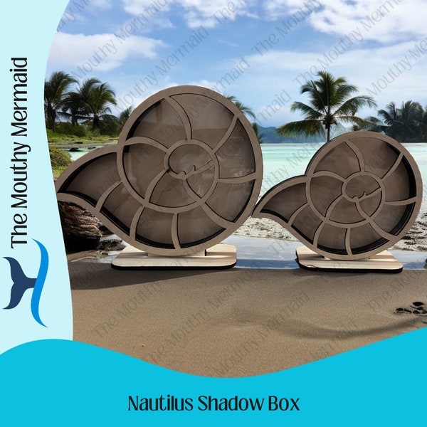 Nautilus Shadow Box for shark teeth, small seashells, fossils, agates, rocks, crystals, beach glass. Shark tooth display, seashell display.