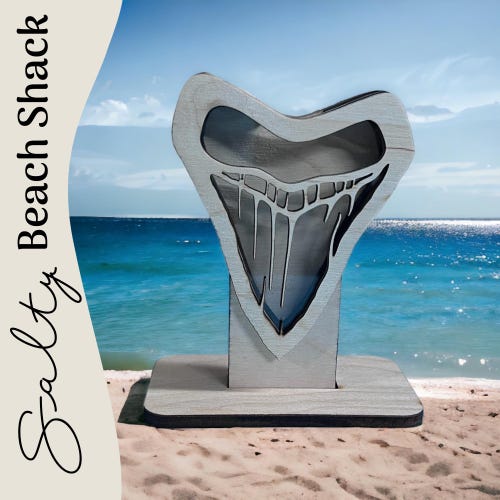 MINI Megalodon Tooth shadow box for shark teeth, small shells, fossils, agate chips, crystals, beach glass. Shark tooth display.