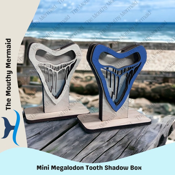 MINI Megalodon Tooth shadow box for shark teeth, small shells, fossils, agate chips, crystals, beach glass. Shark tooth display.