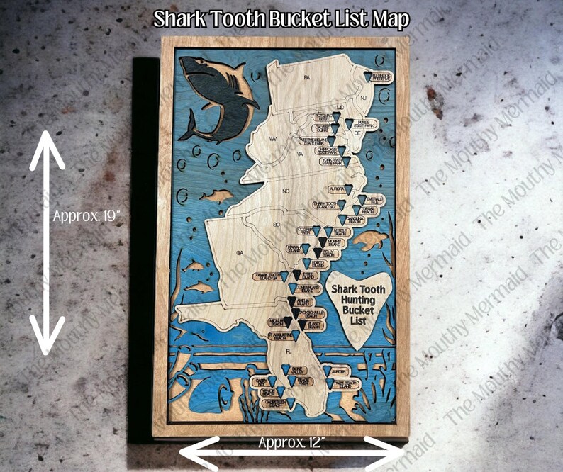 Shark Teeth Hunting Bucket List 3D Map. Shark Tooth Wall - Etsy