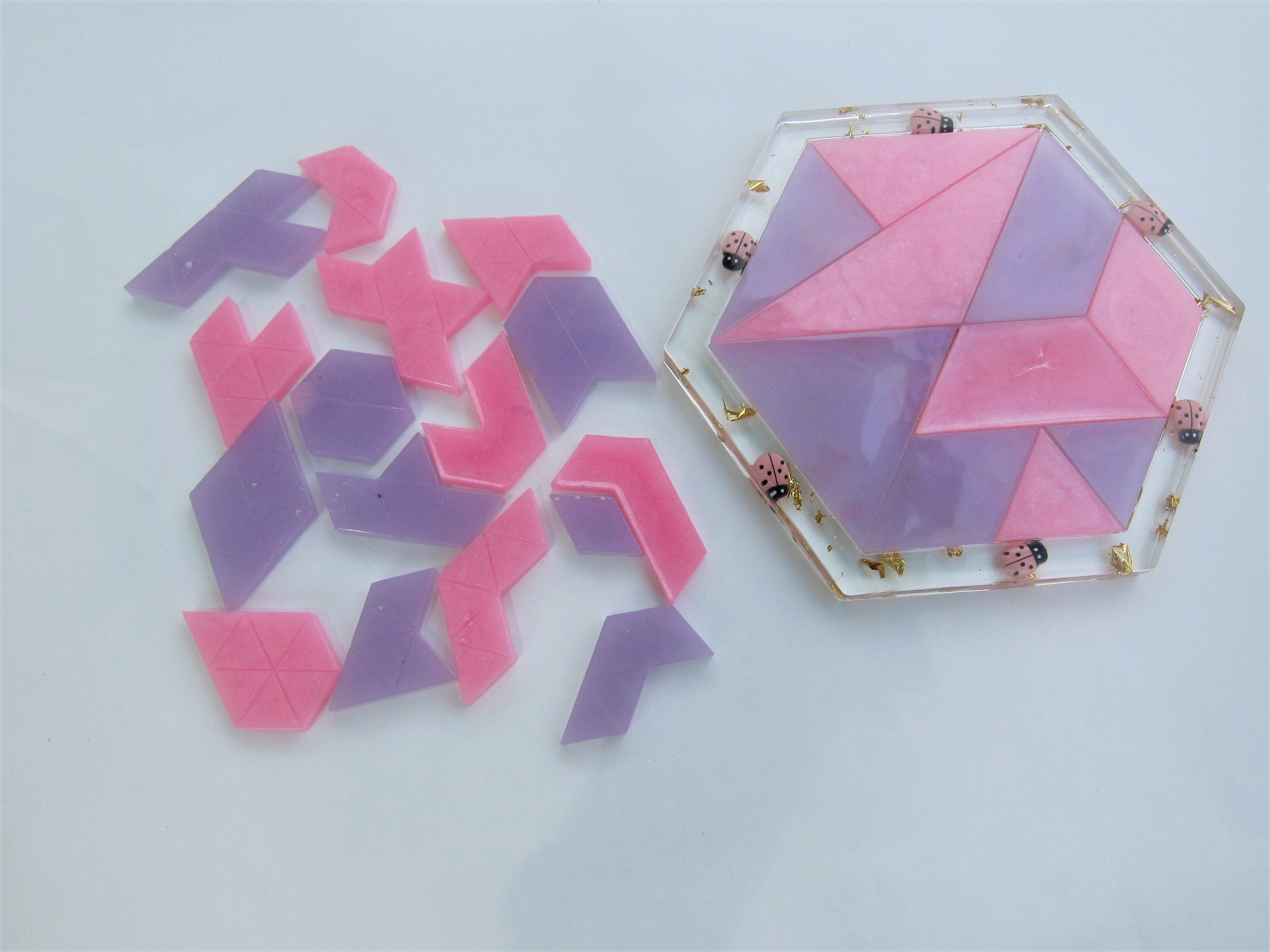 Hexagon Tangram Resin Puzzle With Ladybugs and Gold Flakes, Brain ...