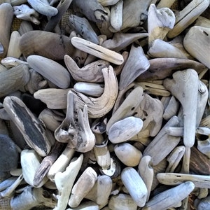 100+ Small Driftwood pieces, 3/4&quot; to 4&quot;, Hand-Gathered, Northern California,Pacific Ocean Beach Driftwood,all natural driftwood, crafts