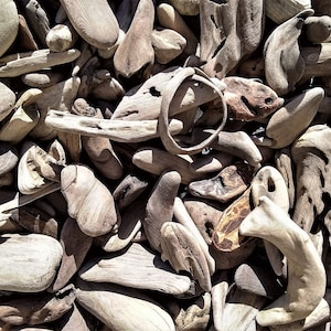 75+ Tiny Driftwood pieces, 3/4&quot; to 4&quot;, Hand-Gathered, Northern California,Pacific Ocean Beach Driftwood,all natural driftwood, crafts