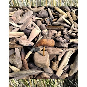 25+ Little Driftwood pieces, 3/4&quot; to 4&quot;, Hand-Gathered, Northern California,Pacific Ocean Beach Driftwood,all natural driftwood, crafts