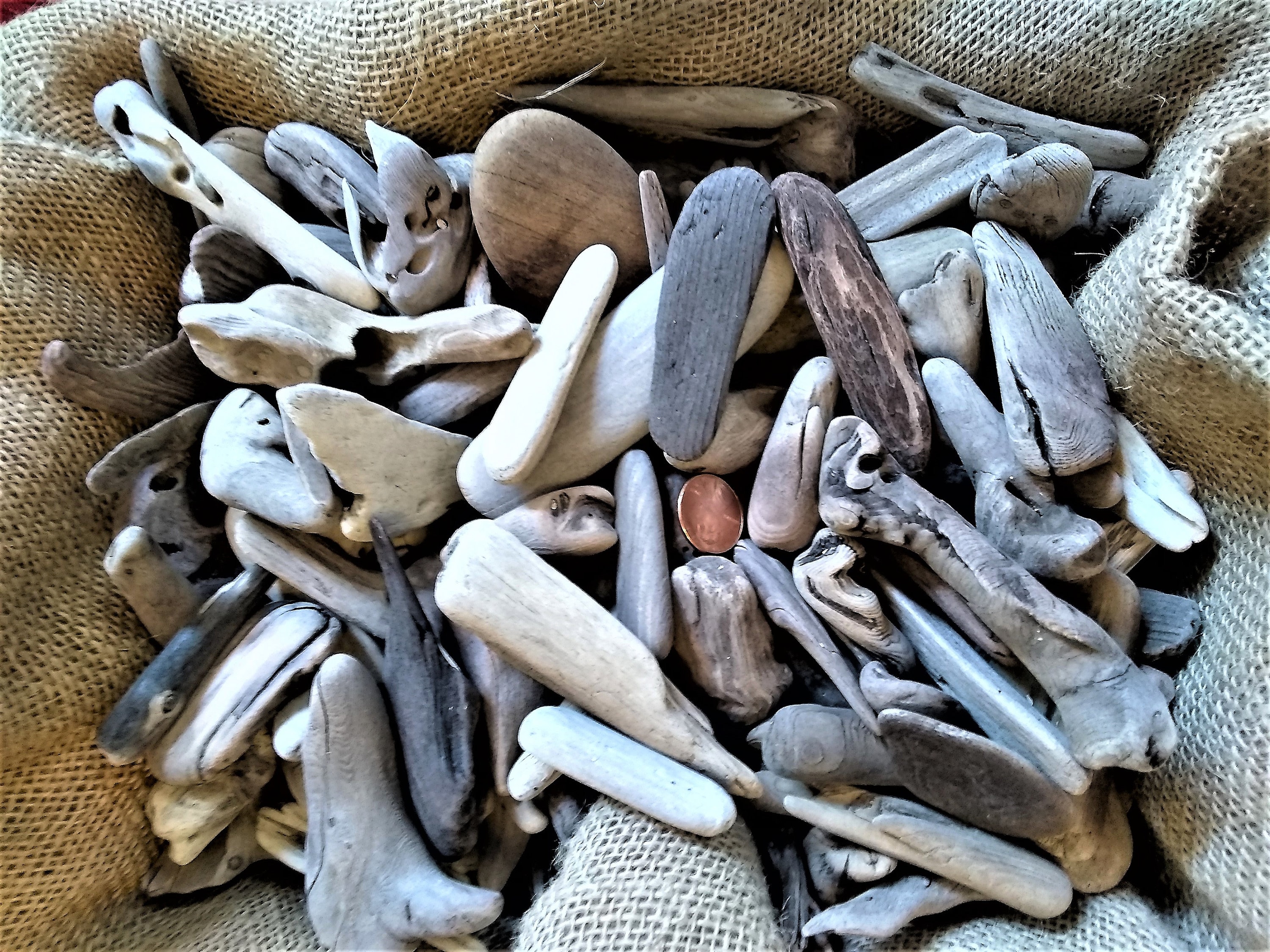 YOU CHOOSE SIZE 18 Sizerange Driftwood Pieces,natural Driftwood for