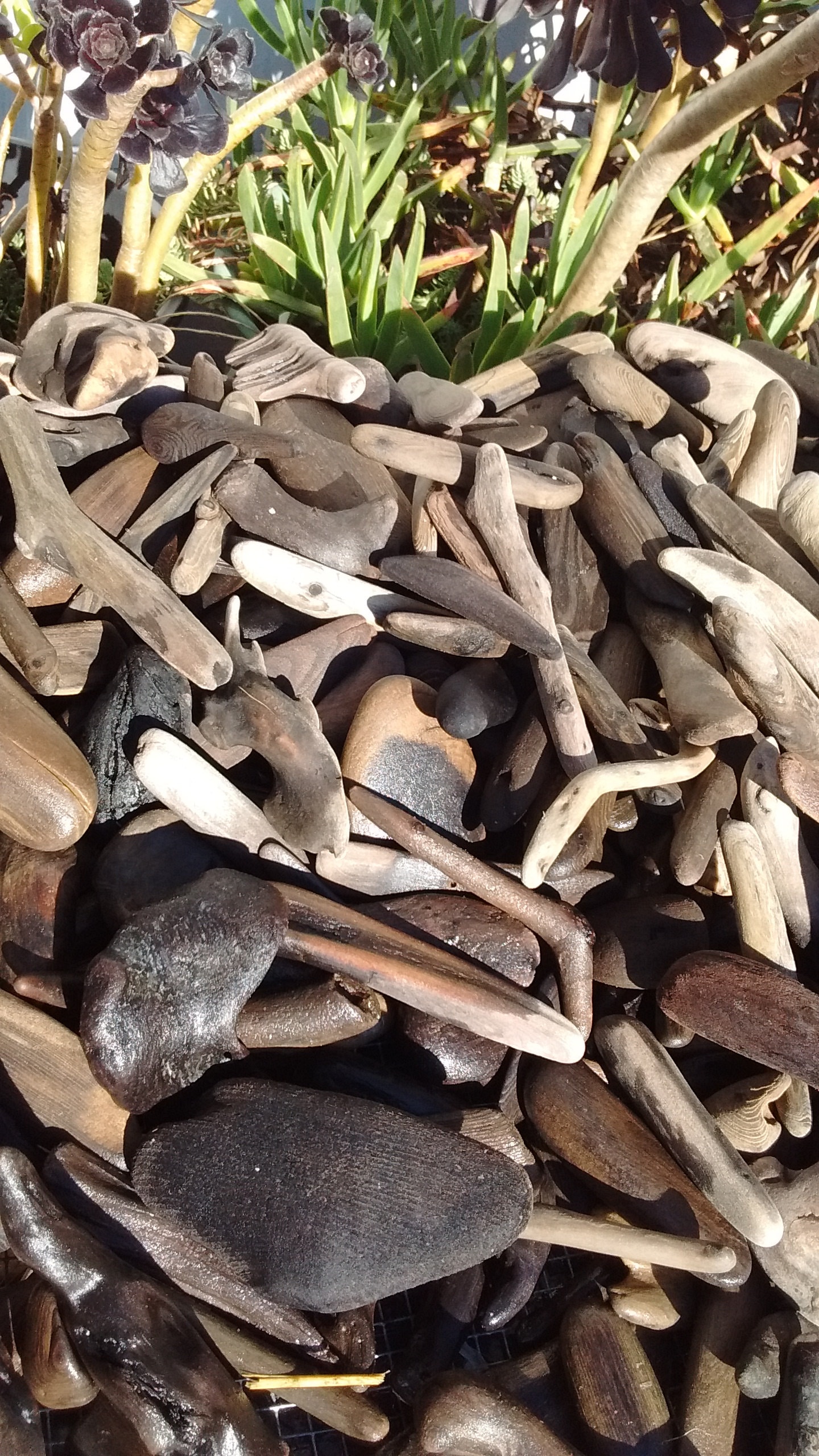 YOU CHOOSE SIZE 18 Sizerange Driftwood Pieces,natural Driftwood for