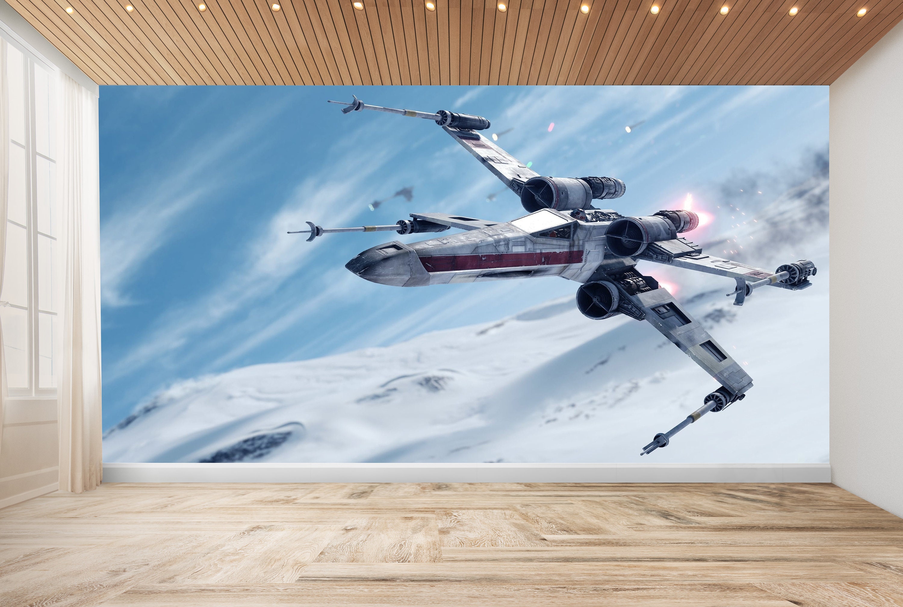 B*u様 WILDSWANS / CSS-WINGS wall B*u様 WILDSWANS / CSS-WINGS wall B*u様 WILDSWANS / CSS-WINGS wall -