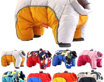 dog winter cloth