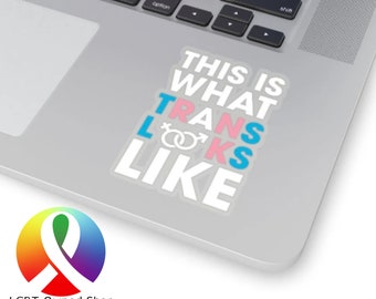 Transgender This is what trans looks like sticker - Trans rights LGBTQ ftm mtf nonbinary pride vinyl decal trans flag - LGBT owned shop