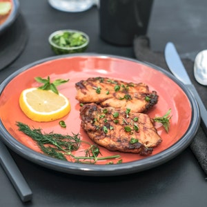 Enamel Plate | Handmade Enamel Plate for Camping and Dining | Dinner Plate | Camping Plate | Outdoor Plate | Perfect Gift for Any Occasion