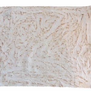 May include: A rectangular, off-white and tan checkered fabric with brown, organic-shaped markings. The fabric has a slightly wrinkled appearance and a fringed edge on one side. The pattern is a classic gingham check.