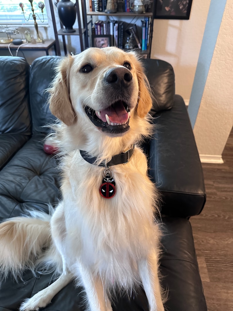 DP Dog Pool Pet Logo Tag Etsy Canada