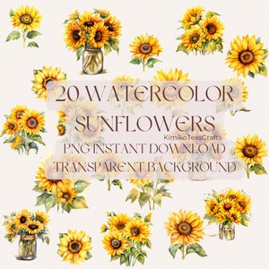 Watercolor Sunflower PNG Clipart Digital Download Transparent Background Commercial Use
