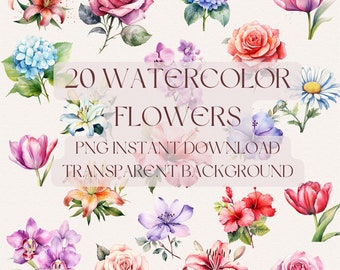 Watercolor Flower Clipart PNG Instant Download Commercial Use Lily Hibiscus Daisy Rose Hydrangea Flower Garden