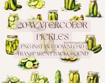 Watercolor Pickles PNG Digital Download Pickle Aesthetic Clipart Commercial Use Transparent Background
