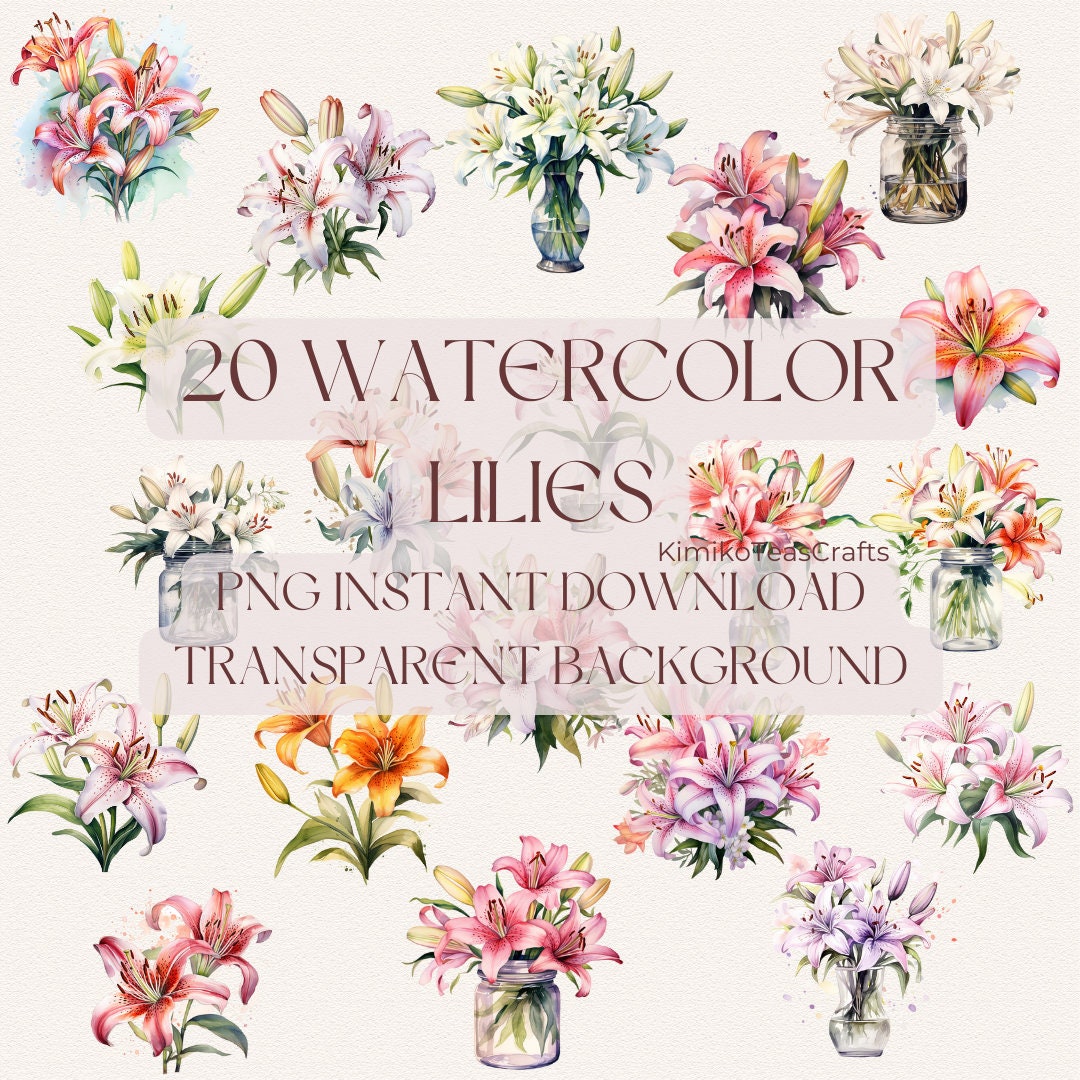 watercolor-lilies-png-digital-download-commercial-use-lily-summer