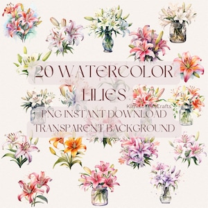 Watercolor Lilies PNG Digital Download Commercial Use Lily Summer Flower Aesthetic Transparent Background Clipart