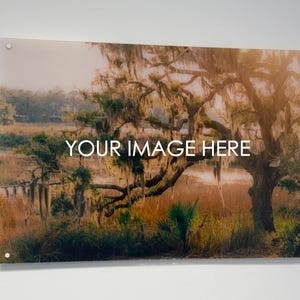 Peut inclure: Impression acrylique rectangulaire représentant un paysage avec un grand arbre et de la mousse espagnole. Le texte "YOUR IMAGE HERE" est affiché en blanc. L'impression est fixée sur un mur blanc.