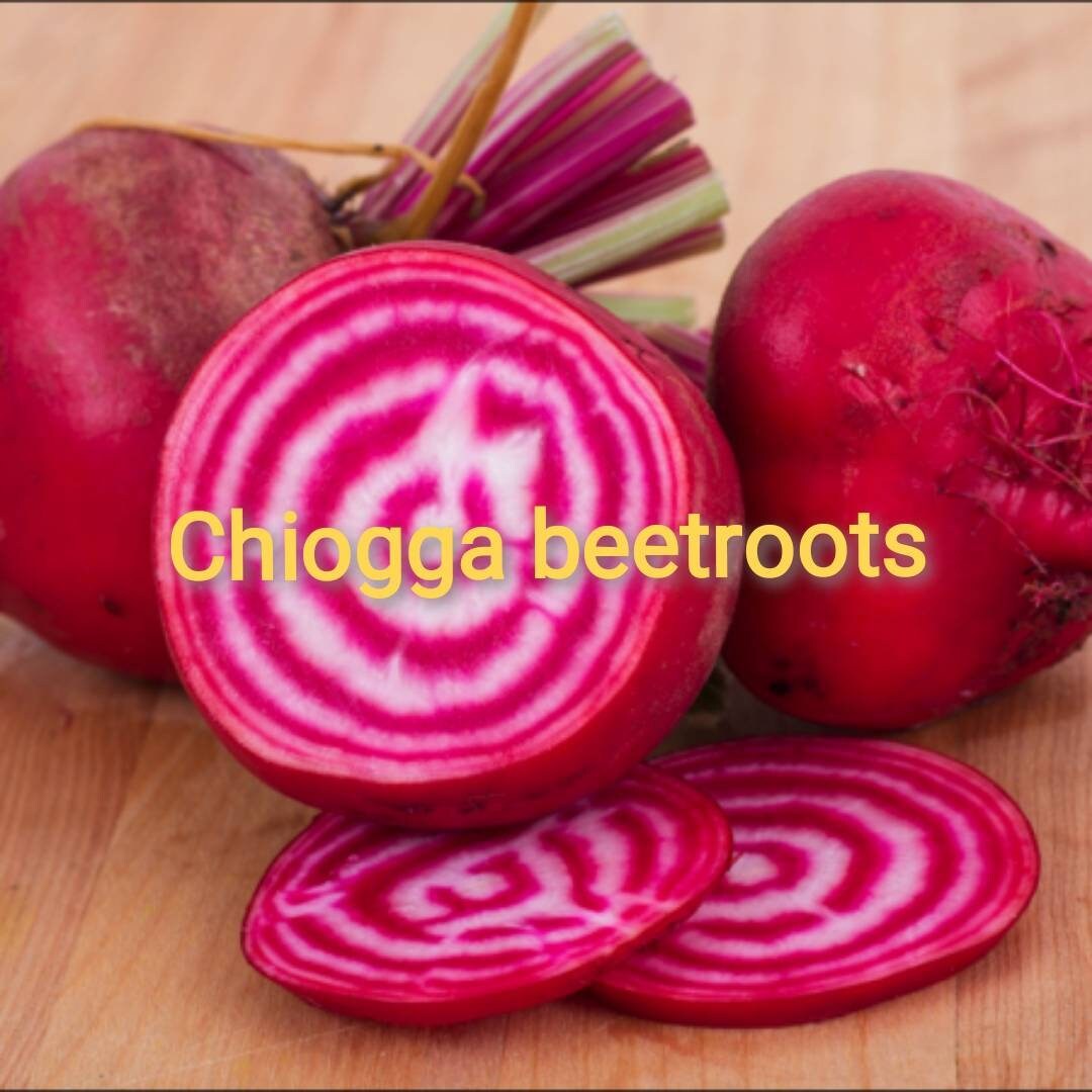 Chiogga Beetroot Seeds/Graines de Betterave Chiogga | Beta Vulgaris X 50