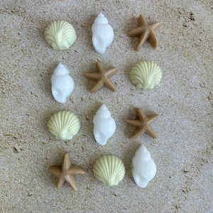 May include: A collection of 12 white and green seashell and starfish shaped soaps. The soaps are arranged in three rows of four on a light brown textured surface.