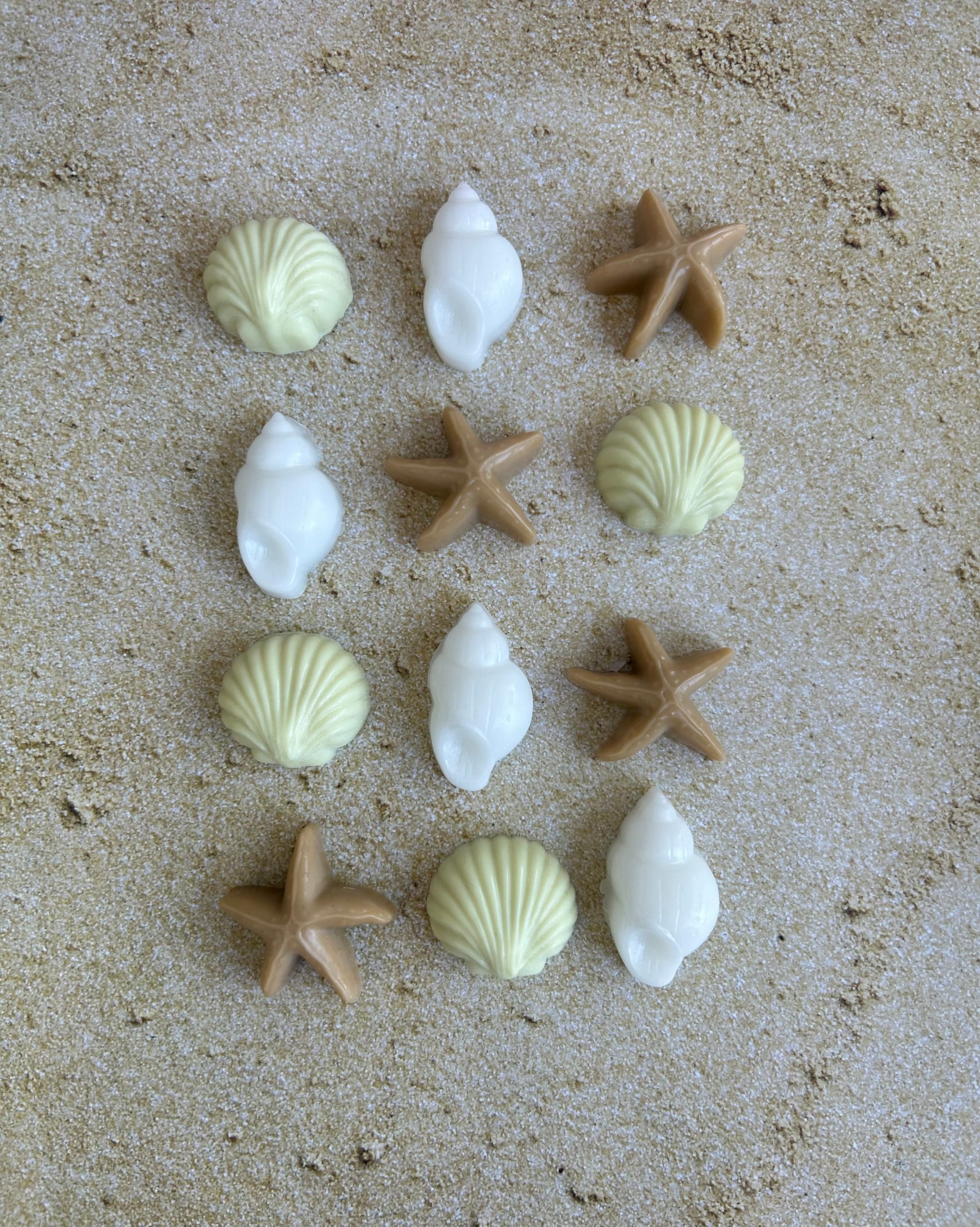 Mini sea shell soaps, tiny soaps, beach soaps, ocean soaps