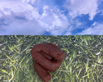 Dog Poop Soap: Funny Goat Milk Gag Gift