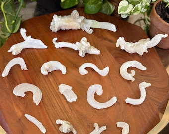 Rams Horn Selenite Specimen from Qinglong, Guizhou, China