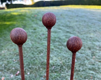 Sphere Plant Supports