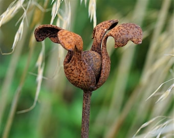 Rusted Steel Tulip Flower: Garden Art, Plant Support