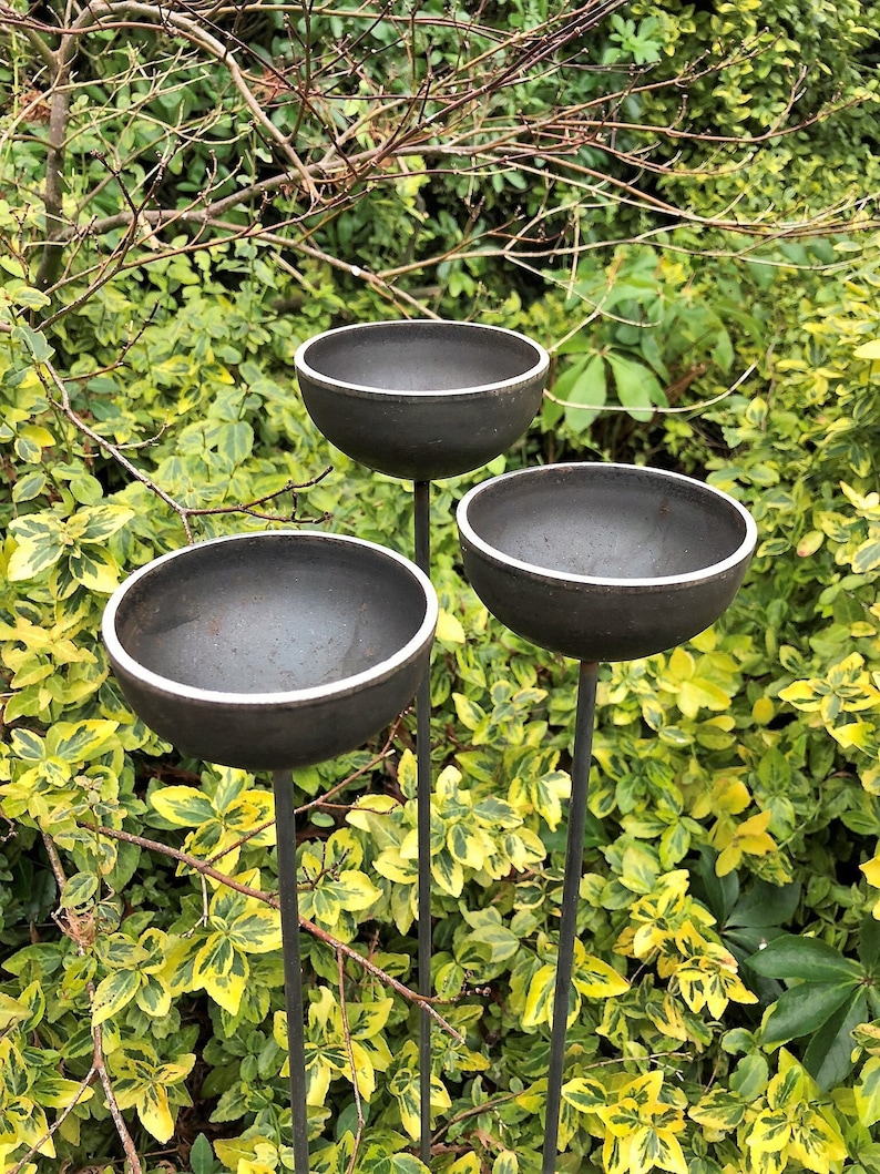Large rain catchers made of metal which rust over time, can be filled with water, birds drawn to bathe, green foliage in background